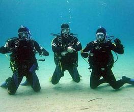 DIVE SECTOR Bild 1