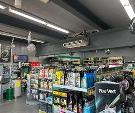 Feu Vert image 3
