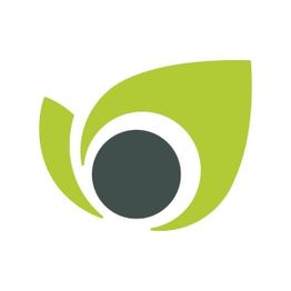 Point Vert - Pont-à-Mousson