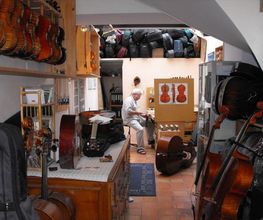 Seitz Ulrich image 6
