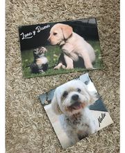 Funema Alzira imagen 16