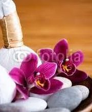 Ellen Energy Center image 5