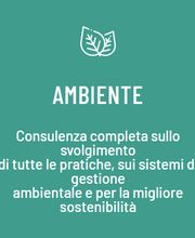 Gallery Professionale