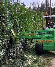 Duverneix Francois image 4