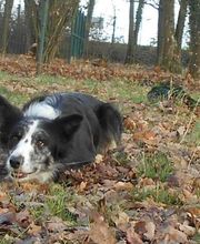 Les Moustaches en Vacances image 10