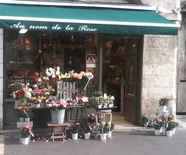 Une Fleur Sur La Place image 3