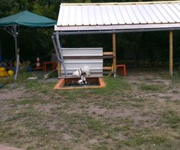 Hundeschule Mosig Bild 14