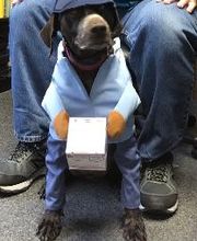 Allegra Marketing Print Mail image 18