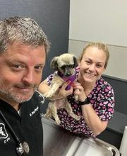 Brentwood Animal Hospital image 1