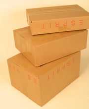 Kartonfritze Carl Evers GmbH & Co. KG Bild 61