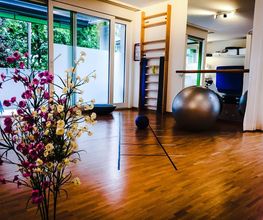 Physio DynaMed Bild 2