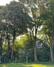 Nadrowski Baumdienst Bild 19