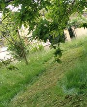 Bossut Multi-Services image 11