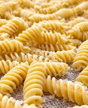 Pasta3 GmbH Bild 1