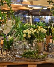 Sommerer & Co Bild 7