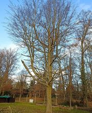 L'instant paysager image 4