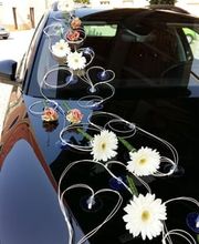 Blumen Wünsche Bild 5
