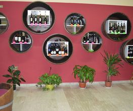 Gallery Cliente