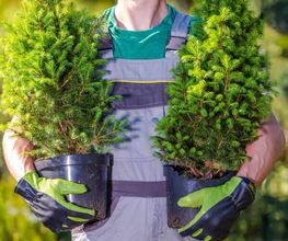 Fadil Gören Garten- und Landschaftsbau Bild 2