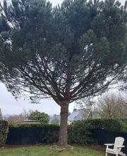 Krismann Espaces Verts image 8