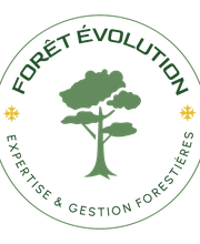 Fôret Evolution image 1