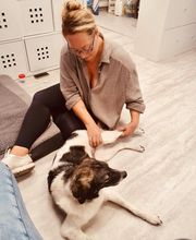 Tiertherapie Rosenthal Bild 11