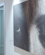 Gallery Professionale