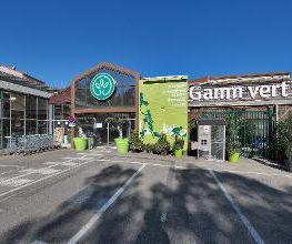 GAMM VERT image 2