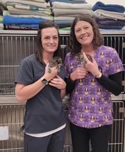 Carbon County Veterinary Hospital image 8