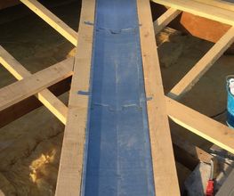 Traber Kevin image 15