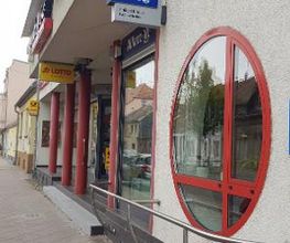 Rose Werbung & Mehr Bild 2