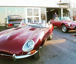 Sellerie Auto image 1