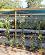 Grasland Gärtnerei, Bergheim, Obstgehölze