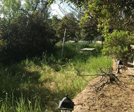Bertho jardin image 2