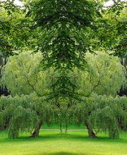 Das Fotostudio Norbert Schade Bild 5