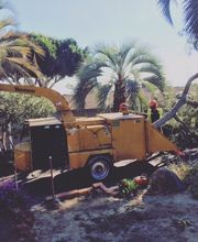 Atlas Tree Service - SavATree image 4