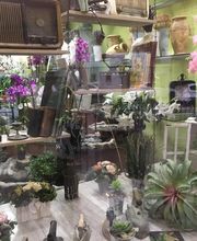 Floristería Campo y Jardín imagen 3