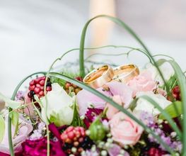 Blumen Krippner Bild 6