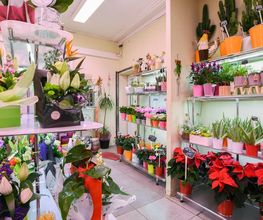 Le Langage Des Fleurs image 9