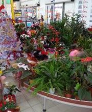 Bricomarché Cabestany image 5