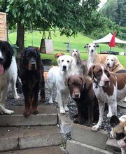 Alpepfötli GmbH Bild 12