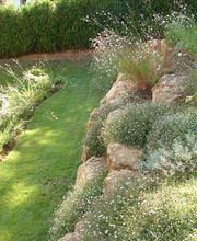 SARL ESCARMANT BENJAMIN image 4