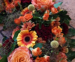 Blumen Anemone Bild 5