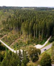 FriedWald Donaueschingen Bild 7