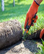 Jardiniers SAP Eysines image 4