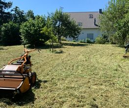 Gartenpflege & Landschaftspflege Sommer Bild 11