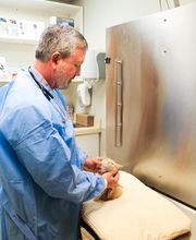 Palmetto Animal Hospital image 14