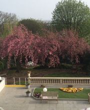 Résidence Séniors Services Hespérides Nogent Val de Beauté image 1