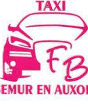 Taxi Semur en Auxois Fanny Bourion image 2