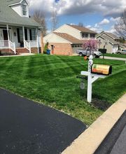 Shepherds View Landscaping & Tree Removal, LLC image 3